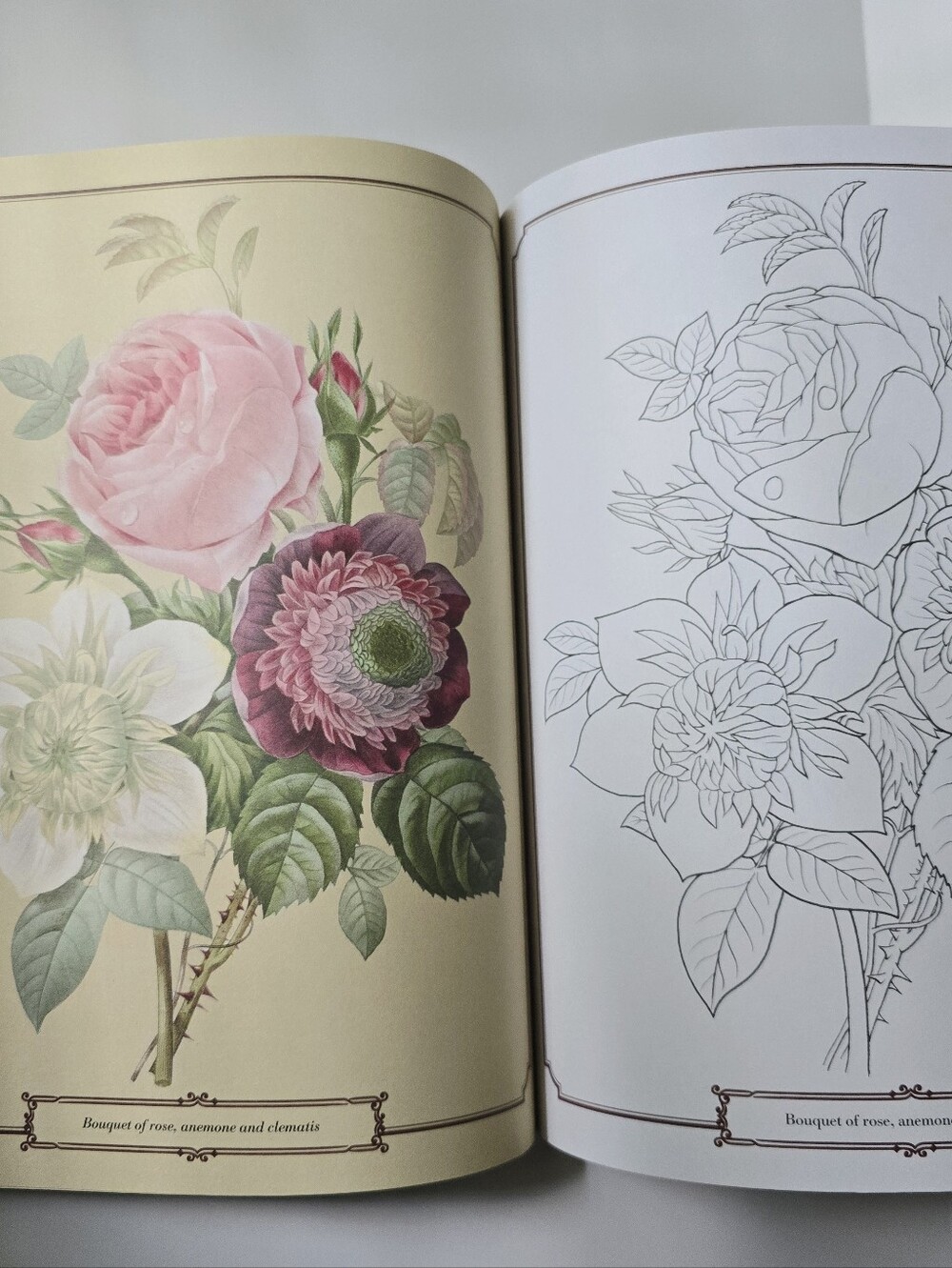 The Beautiful Nature Adult Vintage Coloring Book - Picture 5 of 15